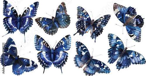 blue butterfly watercolor clipart	