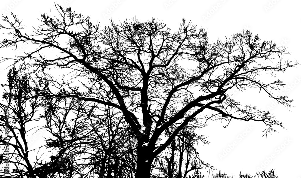 Obraz premium Dash and dot messy on transparent background