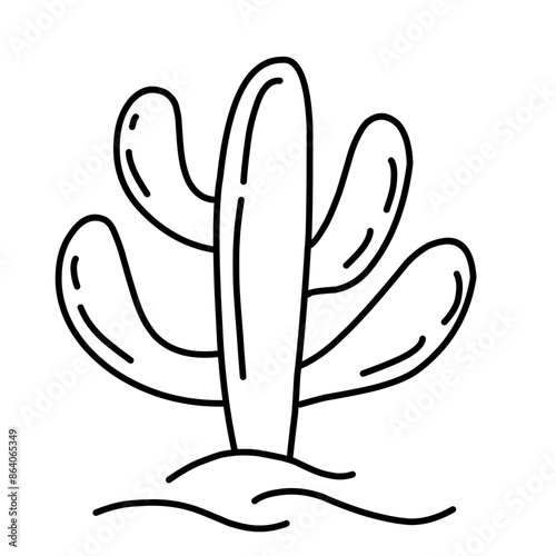 Hand drawn cactus illustration. Vector Illustration. Isolated on white background. cactus outline sketch. cactus drawing. cactus plants line art background.