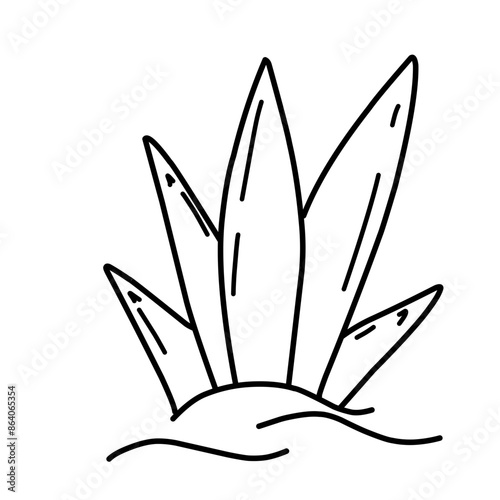 Hand drawn cactus illustration. Vector Illustration. Isolated on white background. cactus outline sketch. cactus drawing. cactus plants line art background.