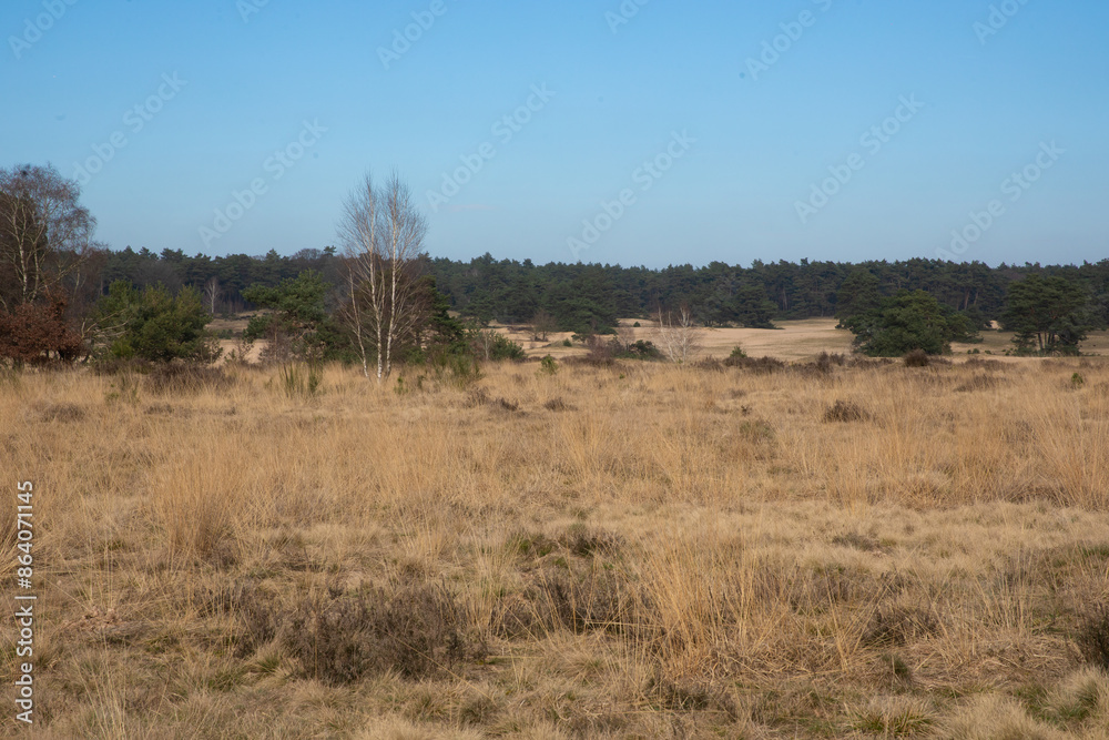 Hoge Veluwe Hoge Veluwe