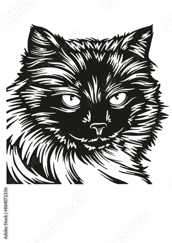 Himalayan cat SVG, Cat Breed SVG, Kitten SVG, Pet SVG, Cat lover SVG, Pet SVG, Himalayan cat Silhouette, Himalayan cat Vector, Clipart, Cut file for Cricut SVG, JPG, PNG