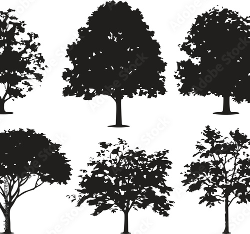 Collection Realistic Group Trees Isolated silhouettes, vector illustrator