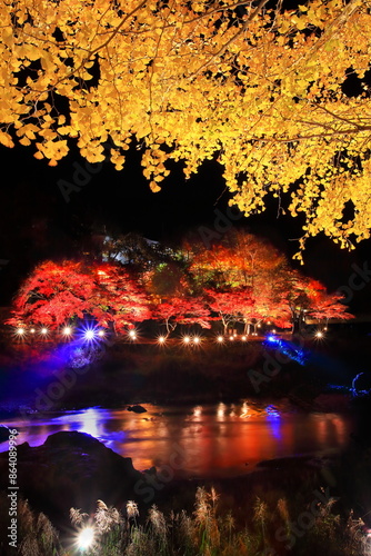 御岳渓谷紅葉のライトアップ