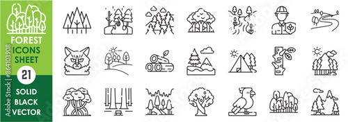A set of line icons related to forest and woods. Forest, wood, forest fire, timber, branch, camping, tropical, river, flora and fauna, wild, birds, Siberia, and so on. Vector outline icons set.