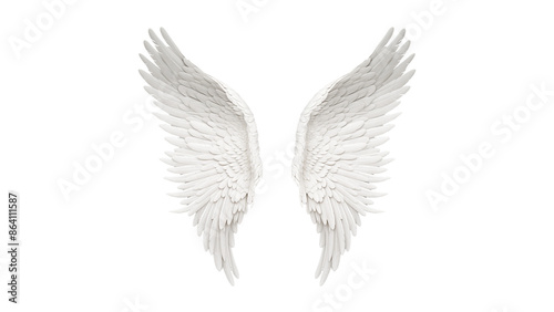 Angel wings cutout. White wings on transparent background