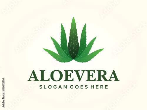 logo vector aloe vera plant 