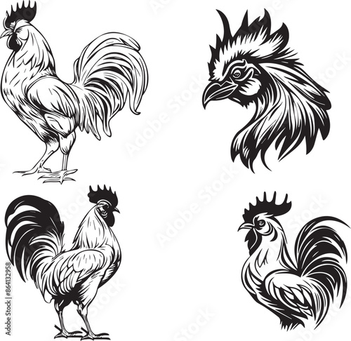 Chickens,Chickens Head animals art graphic resources vector Element image design