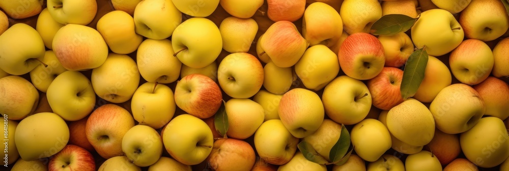 A Bountiful Harvest of Golden Apples A Bountiful Harvest of Golden Apples