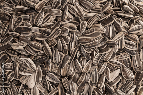Gray sunflower seeds. Top view. Background, texture