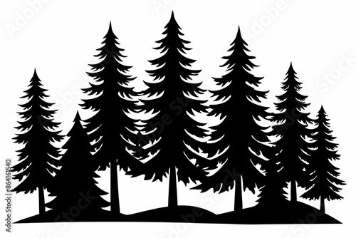 Pine tree silhouettes, Fir trees silhouette. Evergreen forest firs and spruces black shapes, wild nature trees templates. Vector illustration woodland trees set on white background