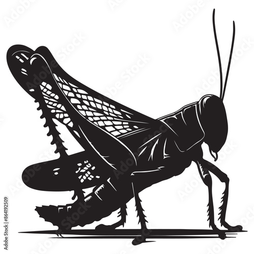 grasshopper silhouette vector illustration white background