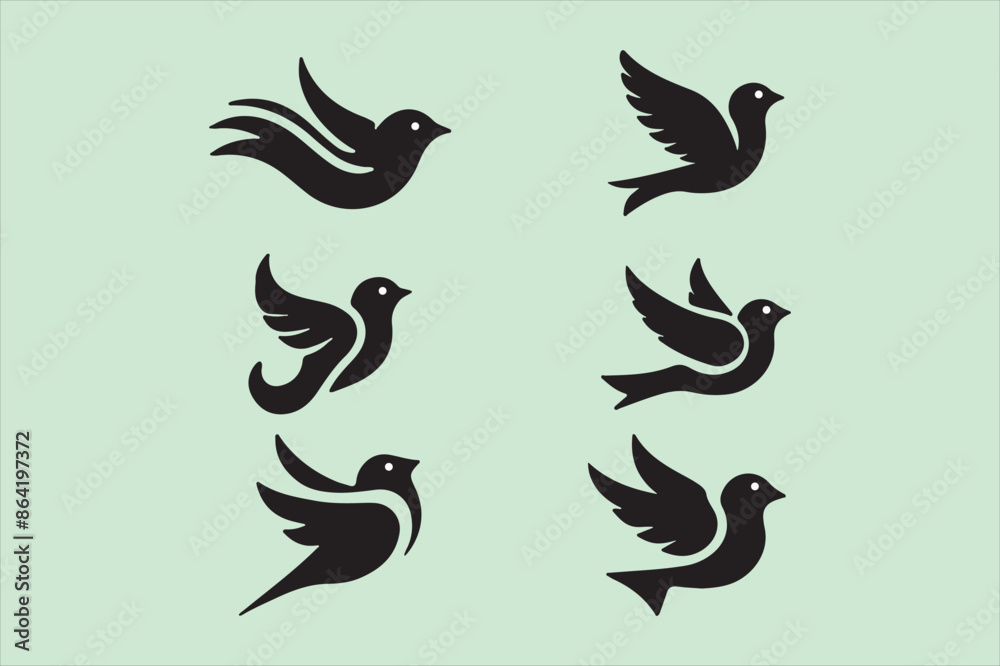 Fototapeta premium Bird 5