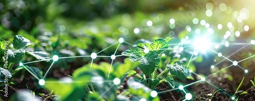 Smart Farm with IoT Sensors...