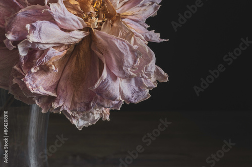 Foto closeup of dried flower with wilted petals and intricate texture against dark ba