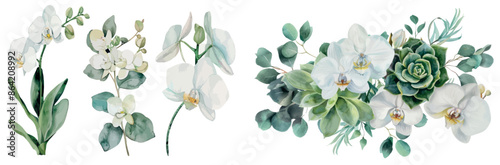A botanical watercolor set with orchid flowers and succulent plants. Ideal for wedding invitations, decor, and design.