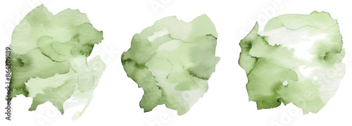 The background of this image is white with a green splash of watercolor. The background has a watercolour texture in salad color. There is a hint of stain from an ink paintbrush. There is a green