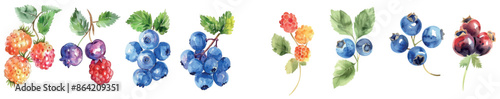 Blueberries, cranberries, and cloudberries are pictured in this watercolor set.