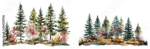 Water color illustration of spruce trees in forest. Hand drawn realistic illustration with lush green forest plants. Christmas tree and bushes on white background. Evergreen spruce trees.