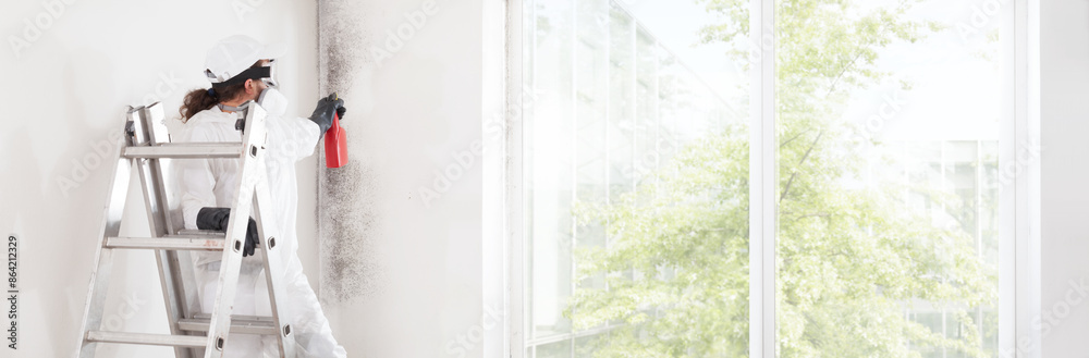 Naklejka premium Professional mold removal service: Worker on ladder wearing protective suit, spraying product to clean moldy wall before room painting work. Home refurbishment site with window showing green ambience