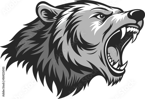 illustration of a bear