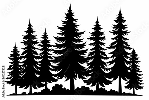 Fir trees silhouettes, Pine tree silhouettes vector, Vintage trees and forest silhouettes