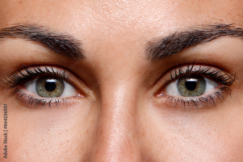 beautiful green eyes of a brunette woman with a dark brown hair beautiful green eyes of a brunette woman with a dark brown hair
