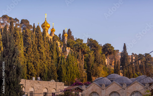 Wall Mural The golden cupolas of Church of Mary Magdalene, a Russian Orthodox Church, behind the green trees outside of Old Town of Jerusalem in Israel