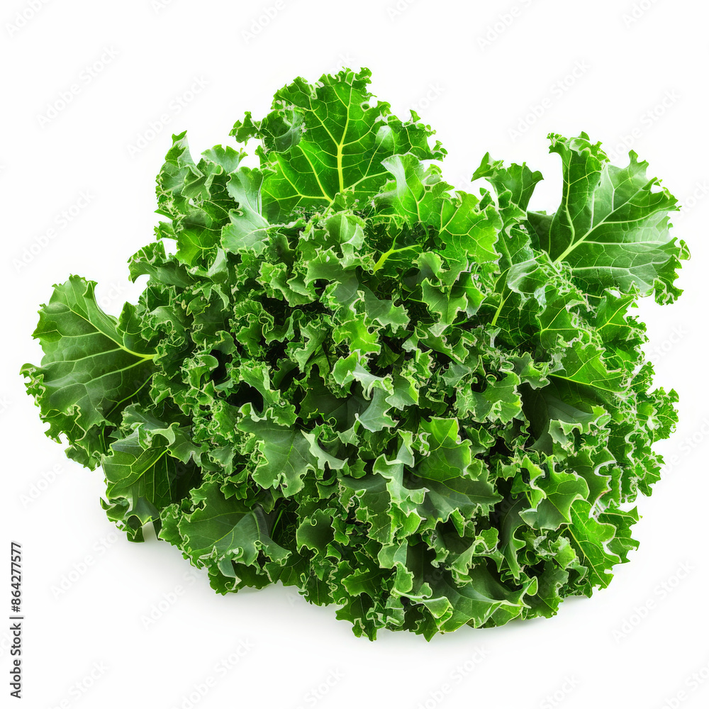Fototapeta premium A bunch of leafy green kale with ruffled edges, isolated on white background