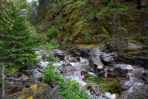 mountain river in the forest