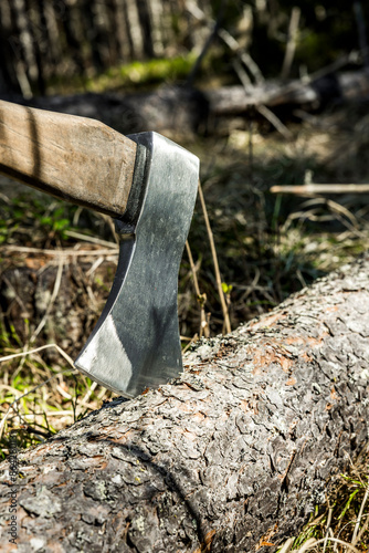Axt in einem gefällten Baumstamm im Wald