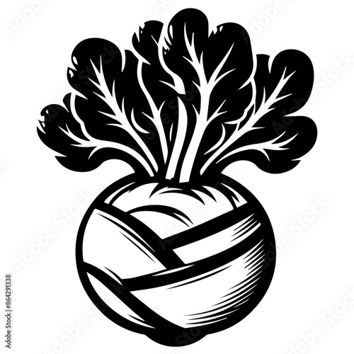 Kohlrabi Vector art - Black Kohlrabi Silhouette art