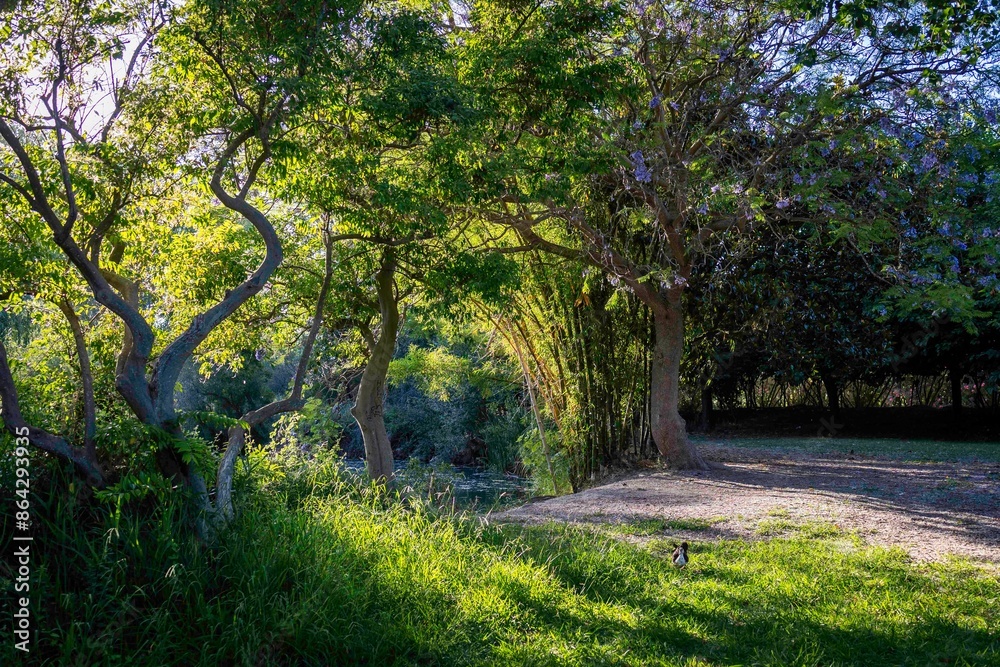 Obraz premium Parque en día soleado