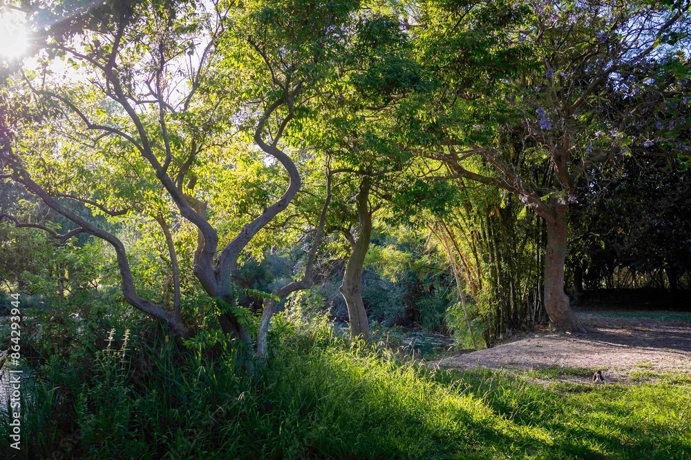 Parque en día soleado