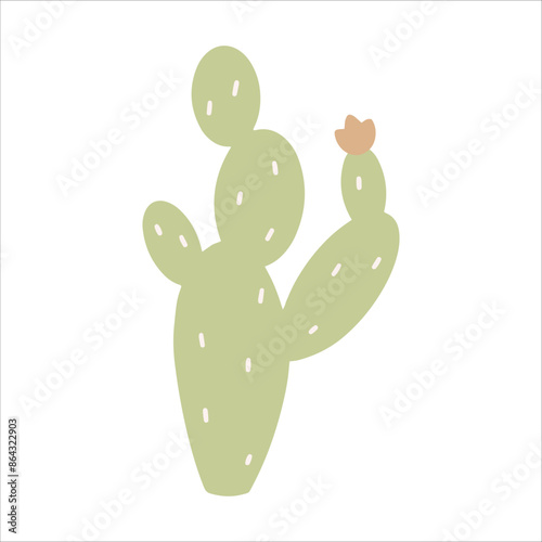 Cactuses. Desert plant, Mexican cacti flower.  Cartoon decorative gardening cactus, home plants, summer Mexico nature plants. Vector flat set. Exotic botanical spiny elements