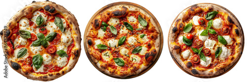 Artisanal Wood-Fired Pizza with Mozzarella and Basil Isolated on Transparent or White Background, PNG