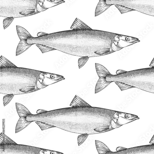 Vintage Style Sheatfish Seamless Pattern. Vector Hand Drawn Fish Background. High Quality Old Fashion Illustration