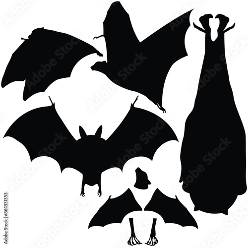 Bat silhouette illustration collection
Halloween items isolated
Realistic hand drawn halloween illustration with bats