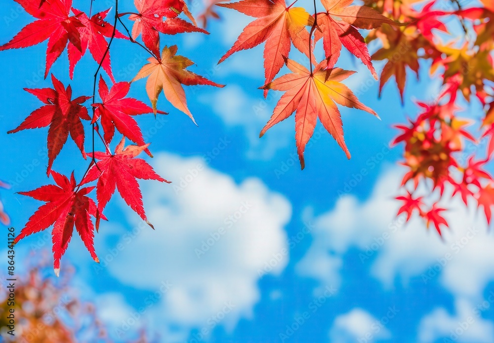 A beautiful blue sky with a few clouds and a few red leaves on a tree A beautiful blue sky with a few clouds and a few red leaves on a tree