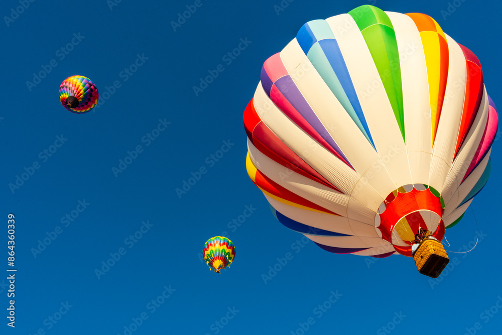 Fototapeta premium Flying High