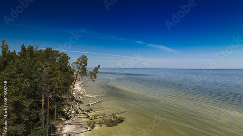  A cluster of trees lines the beach, bordering a body of water where a boat floats