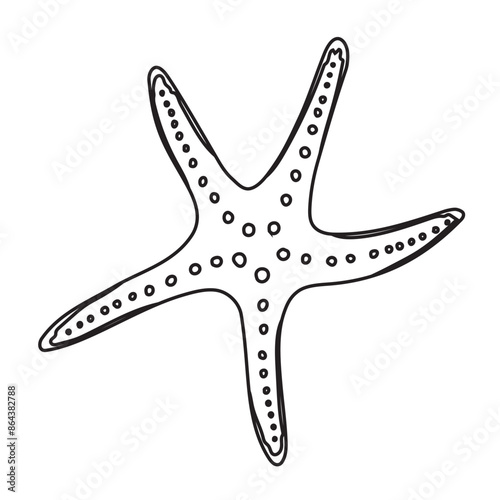 Starfish Vector illustration. Hand drawn sea Star Fish. Linear Drawing of seashell for design in nautical style. Outline Sketch of marine seashore for icon or logo. Black etching of underwater element