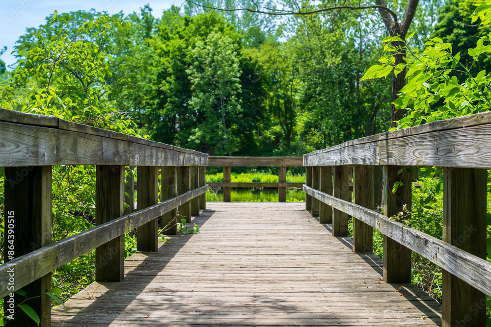 Wooden boardwalk surrounded by lush greenery at the bank of Charles River in Watertown, MA, USA Wooden boardwalk surrounded by lush greenery at the bank of Charles River in Watertown, MA, USA