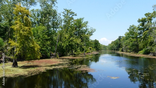 New Orleans Swamps, Louisiana - United States