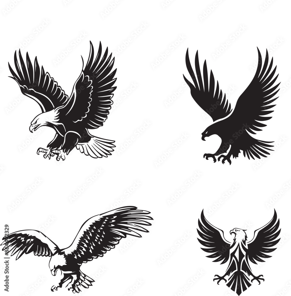 Fototapeta premium Majestic Eagle Vector Illustration art 