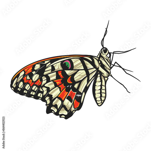 Colorful butterfly spreading its wings side view illustration