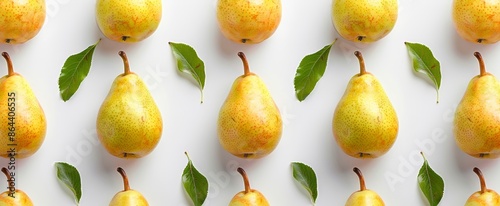 pear fruit are in neat rows and top view