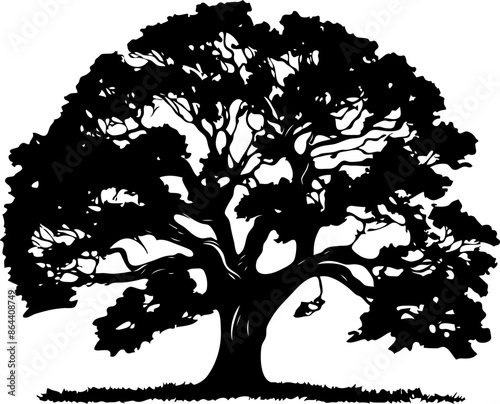 A oak tree black silhouette.