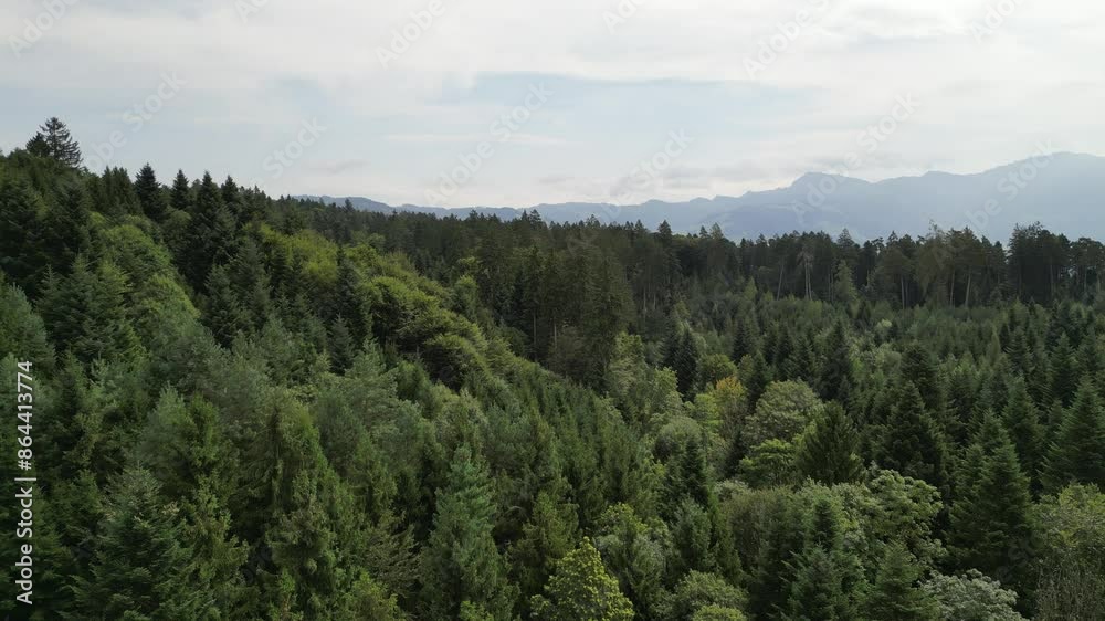 Amazing aerial view of a green forest in Switzerland. Amazing aerial view of a green forest in Switzerland.