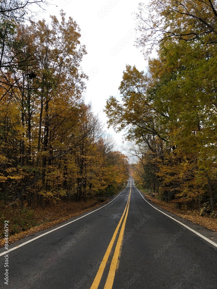 Fall Autumn Autumnal Foliage Leaves Trees Fall Autumn Autumnal Foliage Leaves Trees